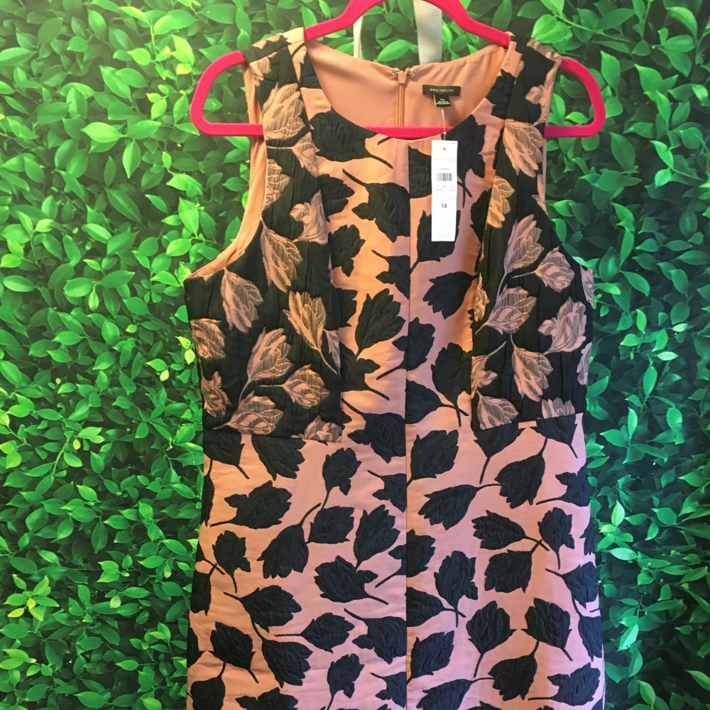 Ann Taylor Floral Jacquard Dress
